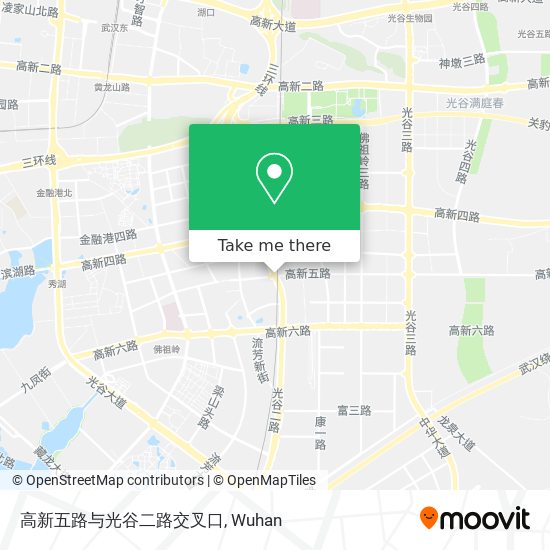 高新五路与光谷二路交叉口 map