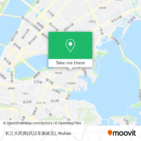 长江大药房(武汉车家岭店) map
