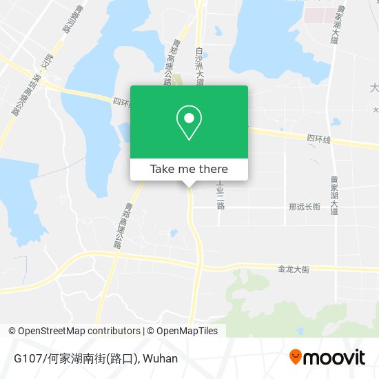 G107/何家湖南街(路口) map
