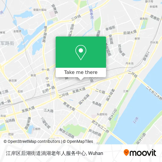 江岸区后湖街道淌湖老年人服务中心 map