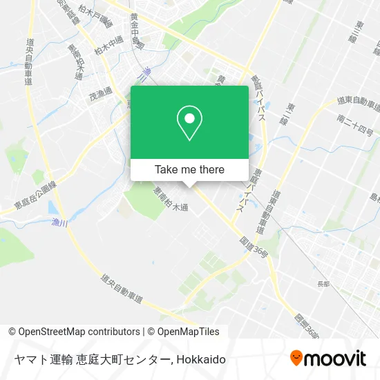 ヤマト運輸 恵庭大町センター map