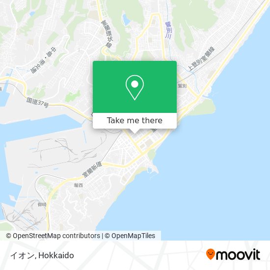 イオン map