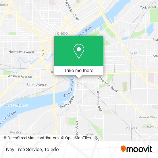 Mapa de Ivey Tree Service