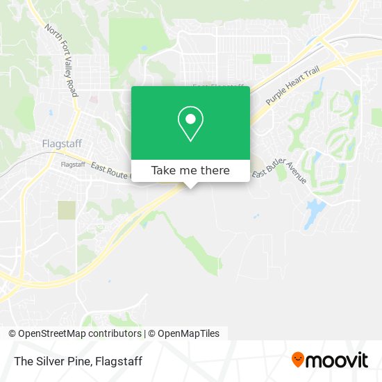 The Silver Pine map