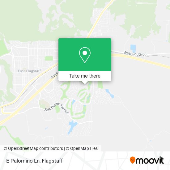 E Palomino Ln map