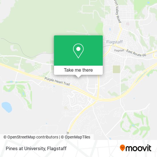 Pines at University map