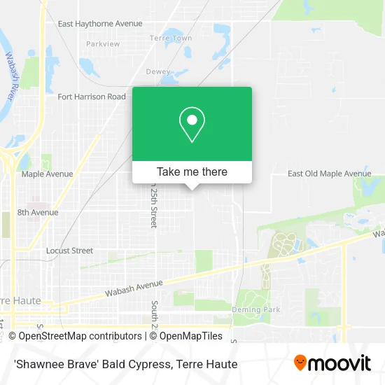 Mapa de 'Shawnee Brave' Bald Cypress