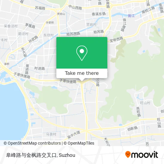 皋峰路与金枫路交叉口 map