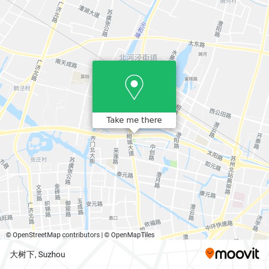 大树下 map