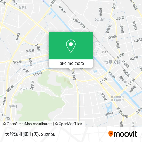 大脸鸡排(阳山店) map