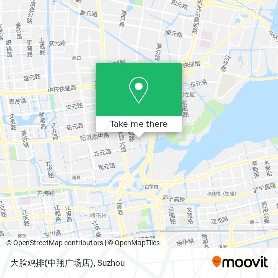 大脸鸡排(中翔广场店) map