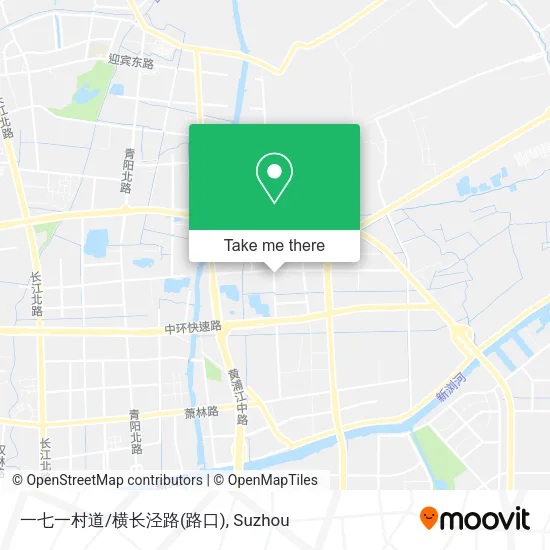 一七一村道/横长泾路(路口) map