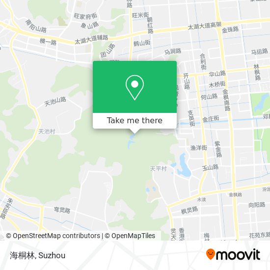 海桐林 map