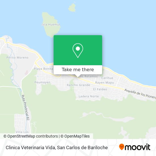 Clinica Veterinaria Vida map