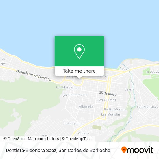 Dentista-Eleonora Sáez map