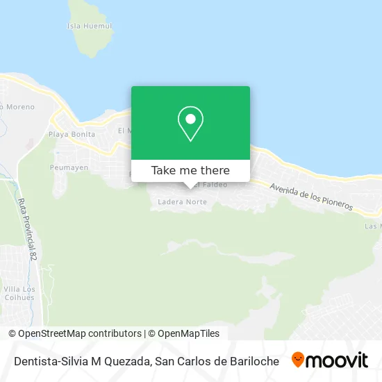 Mapa de Dentista-Silvia M Quezada