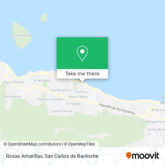 Mapa de Rosas Amarillas