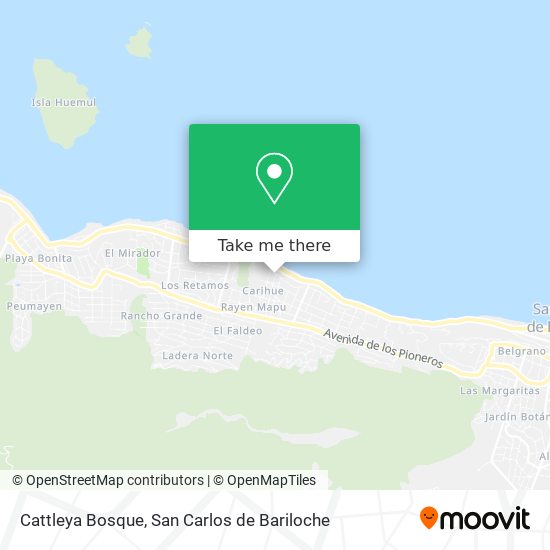 Mapa de Cattleya Bosque