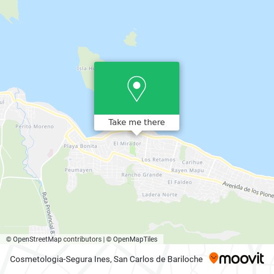 Cosmetologia-Segura Ines map