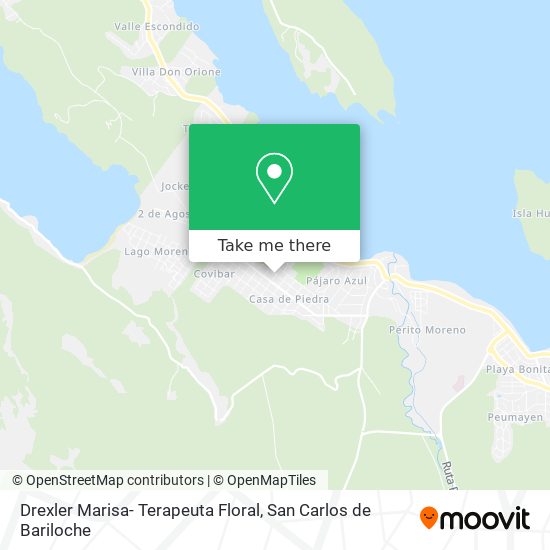 Mapa de Drexler Marisa- Terapeuta Floral