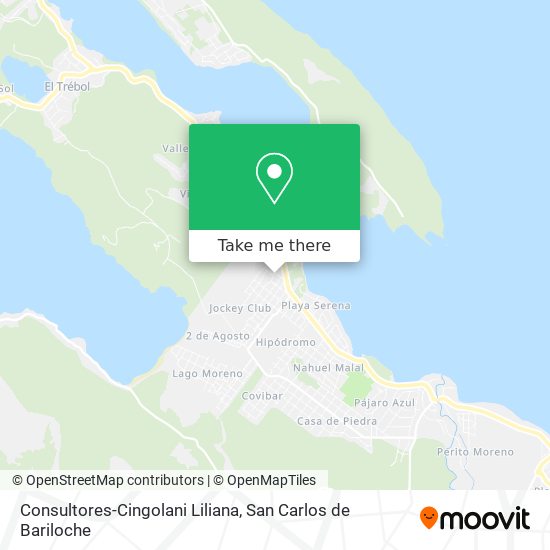 Consultores-Cingolani Liliana map