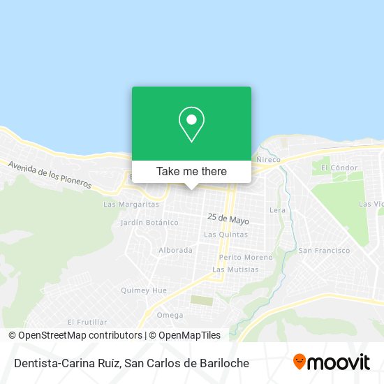 Dentista-Carina Ruíz map