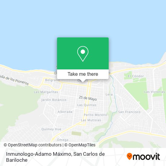 Mapa de Inmunologo-Adamo Máximo