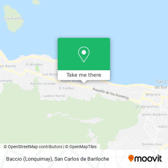 Mapa de Baccio (Lonquimay)