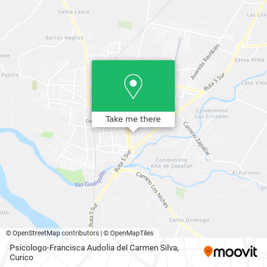 Psicologo-Francisca Audolia del Carmen Silva map