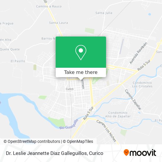 Dr. Leslie Jeannette Diaz Galleguillos map