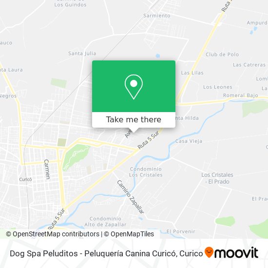 Dog Spa Peluditos - Peluquería Canina Curicó map
