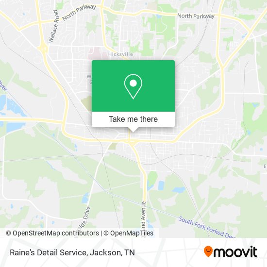 Raine's Detail Service map