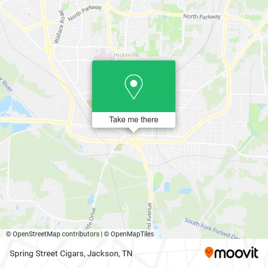 Mapa de Spring Street Cigars