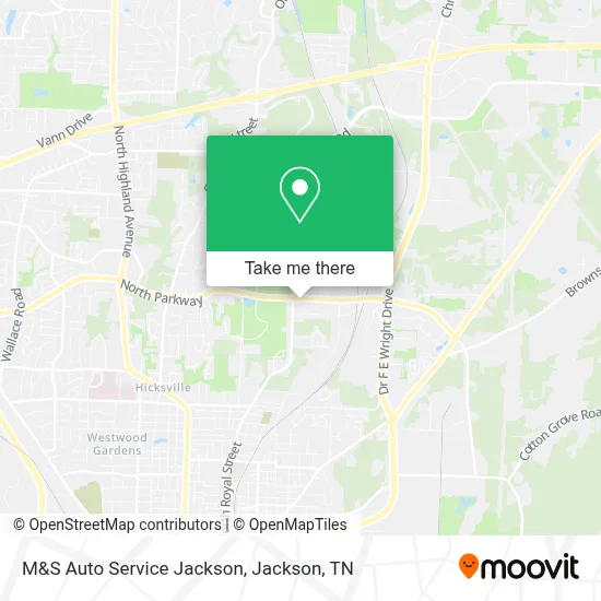 M&S Auto Service Jackson map