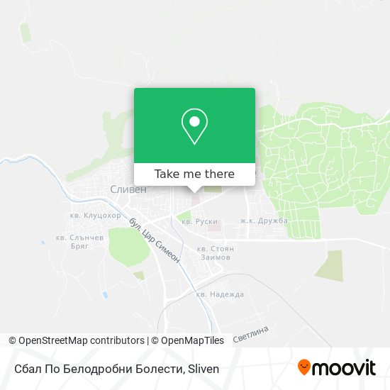 Сбал По Белодробни Болести map