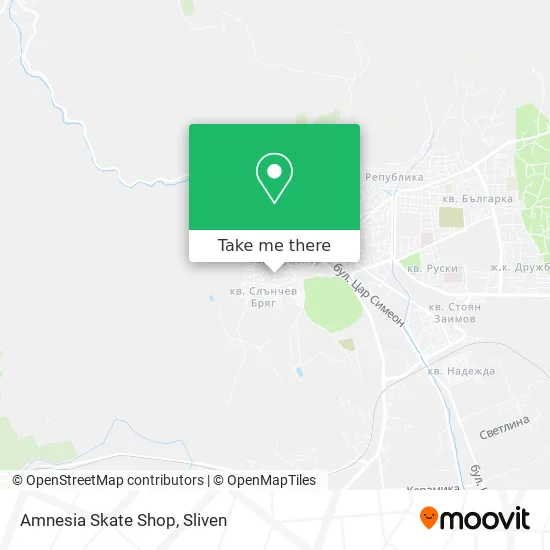 Карта Amnesia Skate Shop