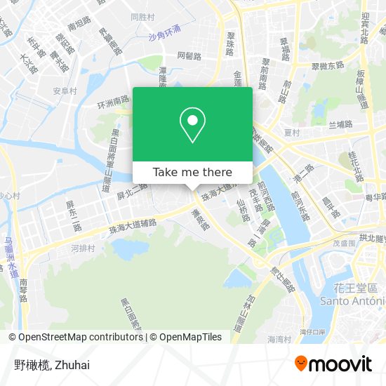 野橄榄 map