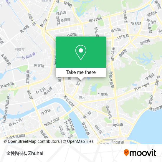 金刚铂林 map