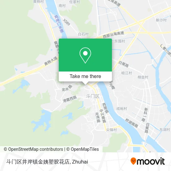 斗门区井岸镇金姨塑胶花店 map