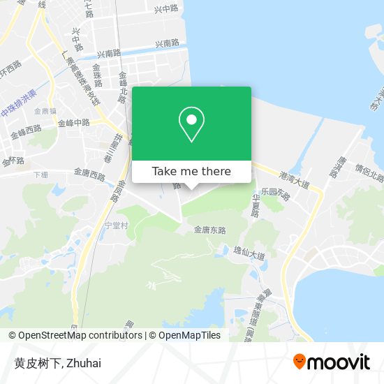 黄皮树下 map