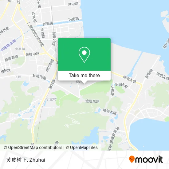 黄皮树下 map