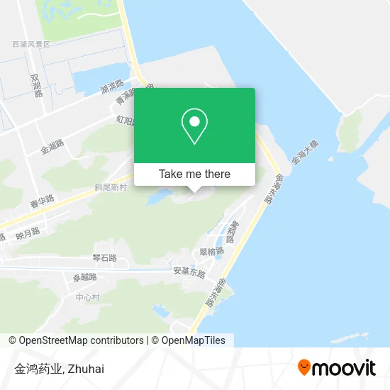 金鸿药业 map