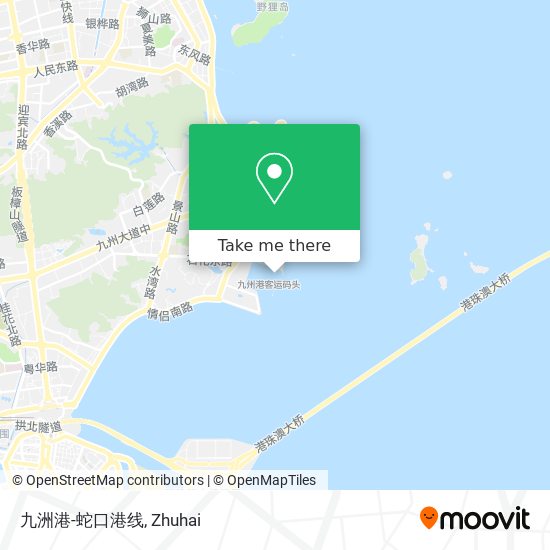 九洲港-蛇口港线 map