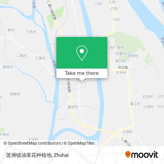 莲洲镇油菜花种植地 map