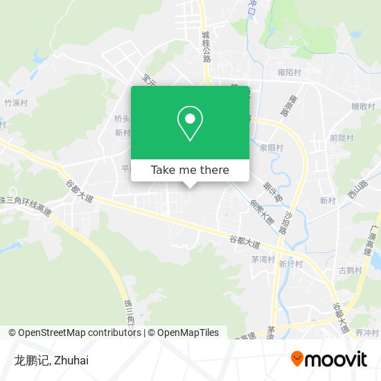 龙鹏记 map