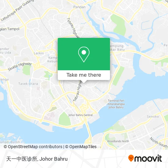 天一中医诊所 map
