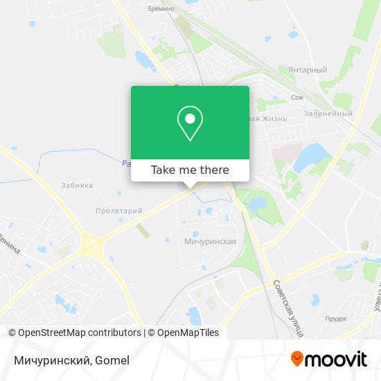 Мичуринский map