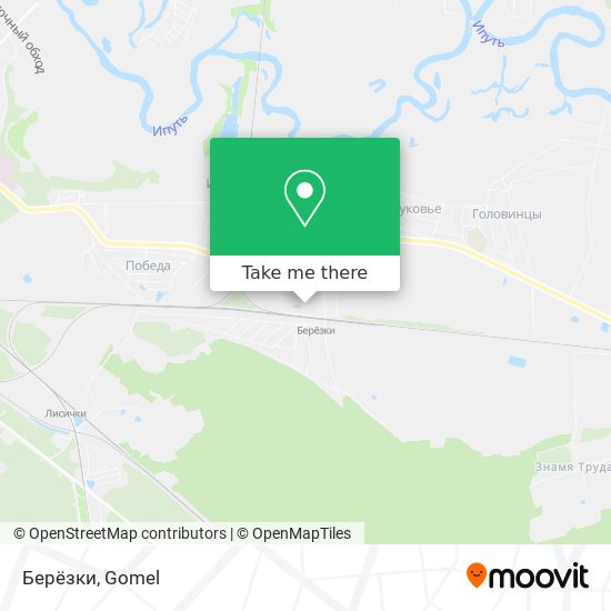 Берёзки map