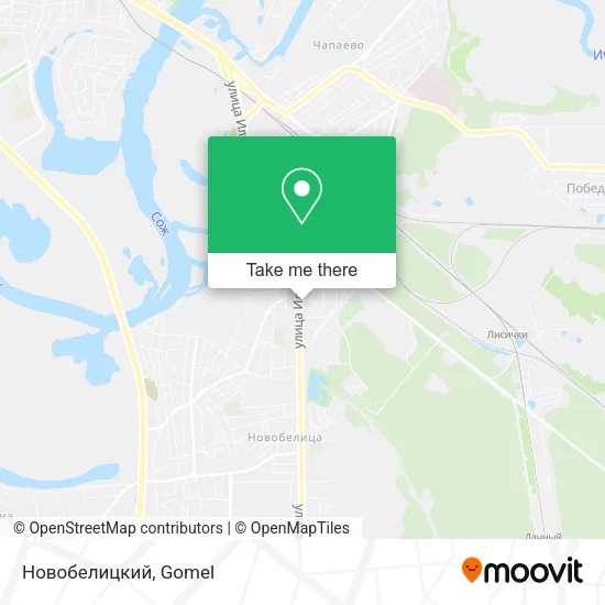 Новобелицкий map