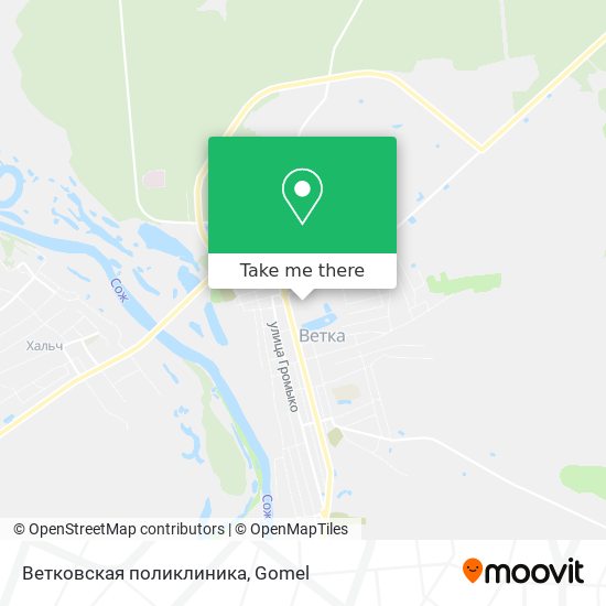 Ветковская поликлиника map